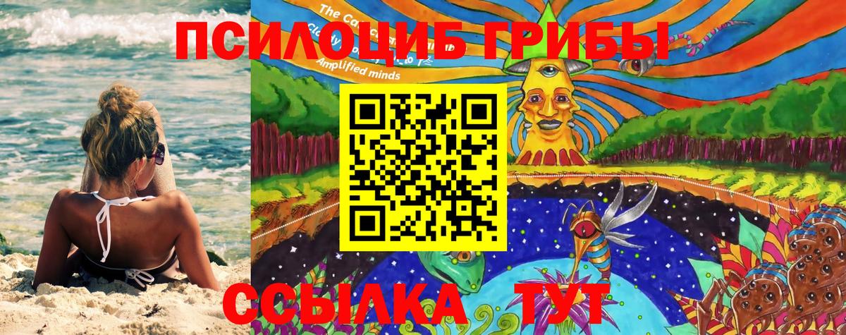 Галлюциногенные грибы мухоморы Алейск