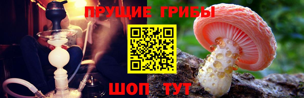 Псилоцибиновые грибы Psilocybe  Вход с VPN  где купить наркоту  Алейск 